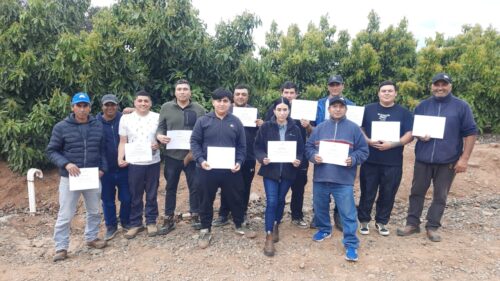 plaguicidas-agricolas-4